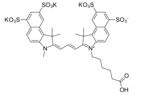 Sulfo-Cyanine3.5 Carboxylic acids