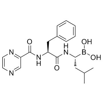 CAS:179324-69-7  Bortezomib (PS-341)   硼替佐米