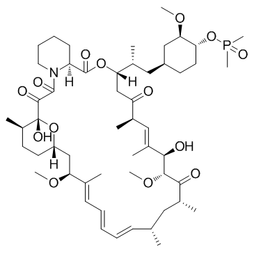 CAS:572924-54-0  Ridaforolimus (Deforolimus, MK-8669)  息斯敏