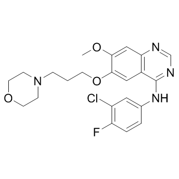 CAS:184475-35-2  Gefitinib (ZD1839)   吉非替尼
