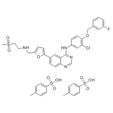 CAS:388082-77-7  Lapatinib (GW-572016) Ditosylate  二对甲苯磺酸拉帕替尼