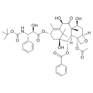 CAS:114977-28-5  Docetaxel   多烯紫杉醇；多西他赛