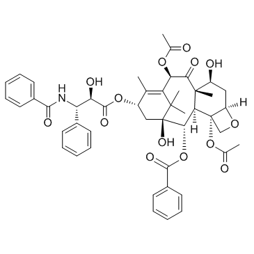 CAS:33069-62-4  Paclitaxel   紫杉醇