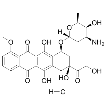 CAS:25316-40-9  Doxorubicin (Adriamycin) HCl   盐酸阿霉素