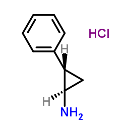 CAS:1986-47-6  Tranylcypromine (2-PCPA) HCl	  反式-2-苯基环丙胺盐酸盐	