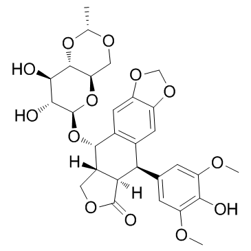 CAS:33419-42-0  Etoposide  依托泊苷