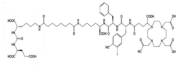 PSMA I＆T