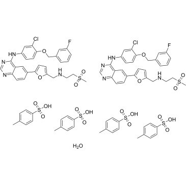 CAS:388082-78-8  Lapatinib ditosylate monohydrate   二对甲苯磺酸拉帕替尼
