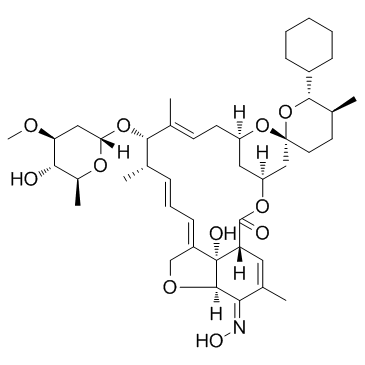 CAS:220119-17-5  Selamectin	司拉克丁