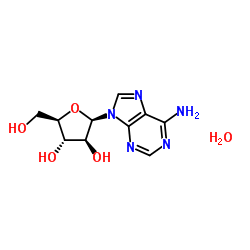 CAS:24356-66-9  Vidarabine monohydrate   阿糖腺苷一水合物
