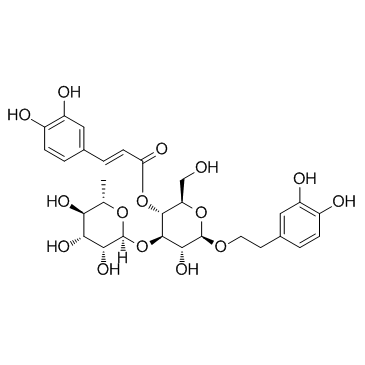 CAS:61276-17-3  Verbascoside	毛蕊花糖苷
