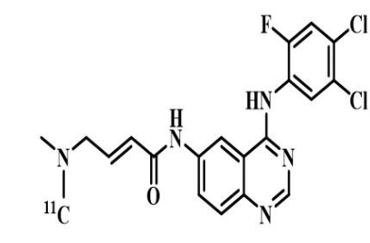 11C-ML04分子探针|分子靶点:EGFR