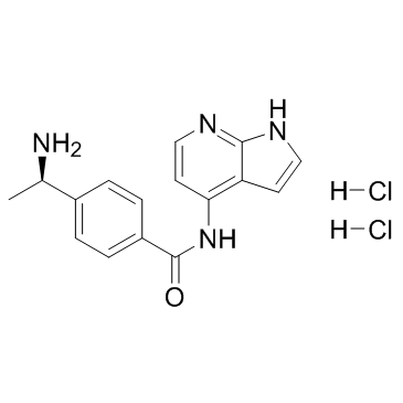 CAS:173897-44-4  Y-39983 HCl   Y-33075二盐酸盐