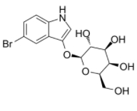 5-溴-3-吲哚基-beta-D-吡喃半乳糖苷  