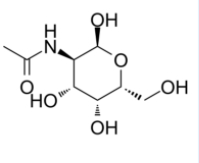 	N-acetyl-D-galactosamine  