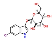 6-氯-3-吲哚基-Α-D-吡喃半乳糖苷  