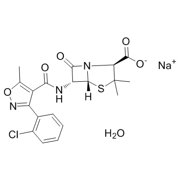 CAS:7081-44-9  Cloxacillin Sodium	邻氯西林钠一水合物