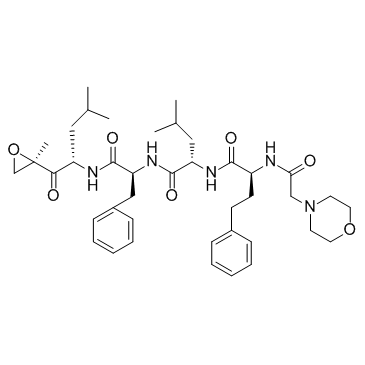 CAS:868540-17-4  Carfilzomib (PR-171)	卡非佐米