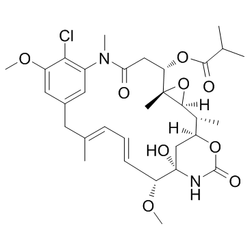 CAS:66584-72-3  Ansamitocin p-3 (Maytansinol isobutyrate, NSC292222)	   安丝菌素P3