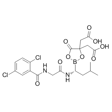CAS:1239908-20-3  Ixazomib citrate	Ixazomib柠檬酸盐