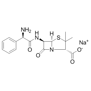 CAS:69-52-3  Ampicillin sodium	氨苄西林钠