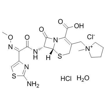 CAS:123171-59-5  Cefepime Dihydrochloride Monohydrate	盐酸头孢吡肟
