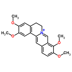 Palmatine  cas:3486-67-7	黄藤素