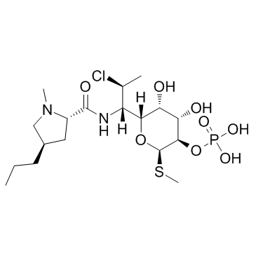 CAS:24729-96-2  Clindamycin Phosphate	  磷酸克林霉素酯