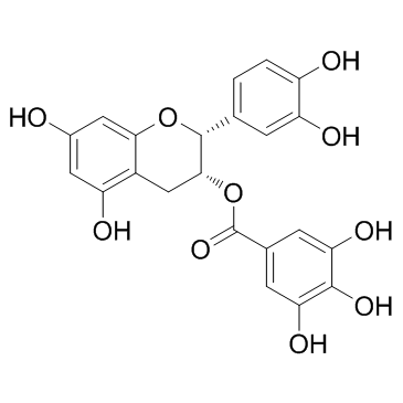 CAS:1257-08-5  (-)-Epicatechin gallate	表儿茶素没食子酸酯