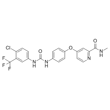 CAS:284461-73-0	Sorafenib	索拉非尼    原研药中间体供应