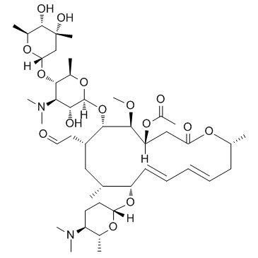 CAS:24916-51-6	Acetylspiramycin	乙酰螺旋霉素    路线研究