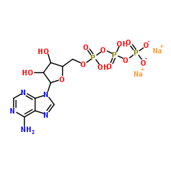 CAS:51963-61-2	ATP (disodium trihydrate)	   磷酸腺苷钠    新药中间体中试