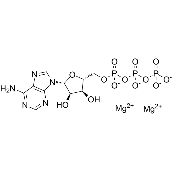 CAS:74804-12-9	ATP (dimagnesium)	  腺甘三磷酸    新药中间体放大
