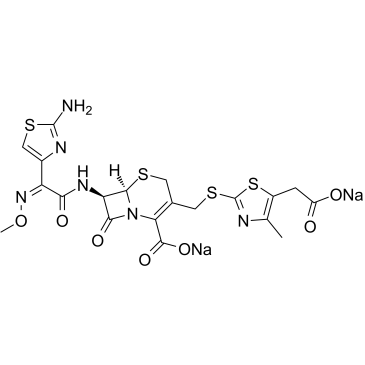CAS:86329-79-5	Cefodizime (sodium)	头孢地嗪钠  公斤级  