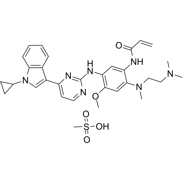 CAS:2134096-06-1	Almonertinib (mesylate)	  新药中间体工艺  