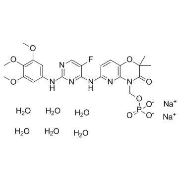 CAS:914295-16-2	Fostamatinib (disodium hexahydrate)	R788六水合二钠  公斤级 