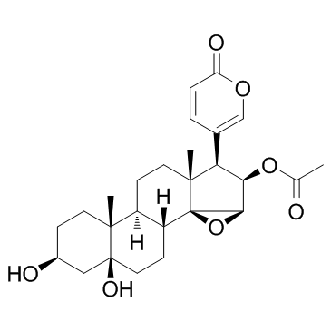 CAS:1108-68-5	 Cinobufotalin	 华蟾素    工艺优化