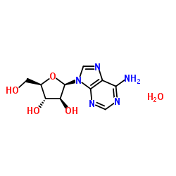 CAS:24356-66-9	Vidarabine (monohydrate)	阿糖腺苷一水合物      中间体生产