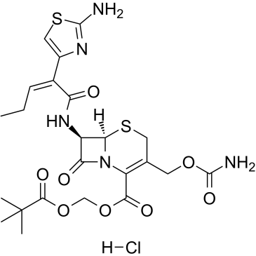 CAS:147816-23-7	Cefcapene pivoxil (hydrochloride)	新药中间体中试 