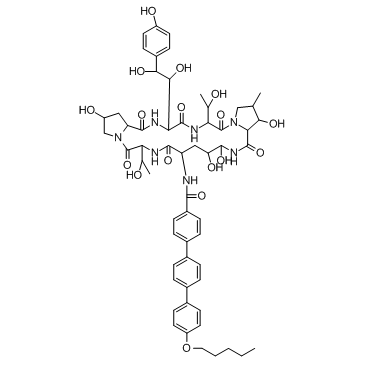 CAS:166663-25-8	Anidulafungin	阿尼芬净  新药中间体中试 