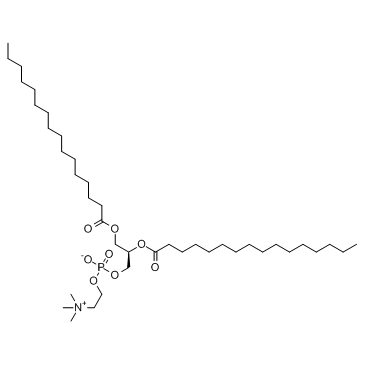 CAS:63-89-8	DPPC	二棕榈酸磷脂酰胆碱      工业级供应