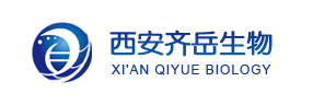 含氮中间体，含氮杂环药物中间体