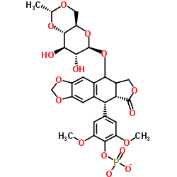 CAS:117091-64-2	Etoposide phosphate	磷酸依托泊甙      批量生产