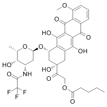 CAS:56124-62-0	Valrubicin	    戊柔比星      线路优化