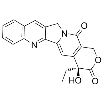 CAS:7689-03-4	Camptothecin	喜树碱  中试供应 