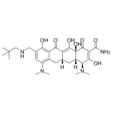 CAS:389139-89-3	Omadacycline	KG级