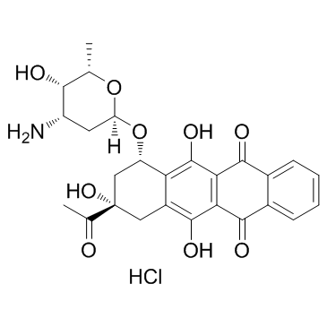 CAS:57852-57-0	Idarubicin (hydrochloride)    盐酸依达比星       公斤级