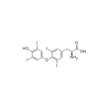 CAS:51-48-9	L-Thyroxine	左旋甲状腺素  批量合成 