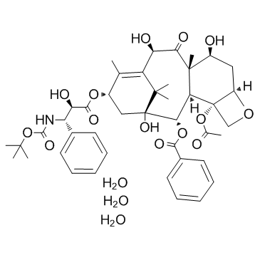 CAS:148408-66-6	Docetaxel (Trihydrate)	三水多烯紫杉醇  原料药研发 