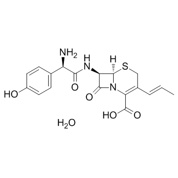 CAS:121123-17-9	Cefprozil (monohydrate)	头孢丙烯   工业级供应